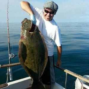 Meet your Posher, Roy